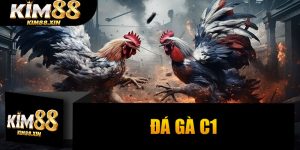 Đá Gà C1