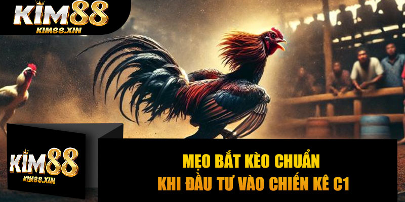 Mẹo bắt kèo chuẩn khi đầu tư vào chiến kê C1