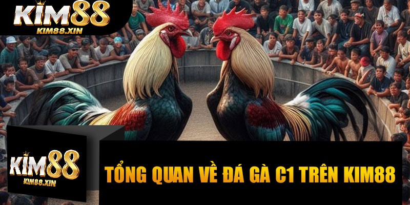 Tổng quan về Đá Gà C1 trên Kim88